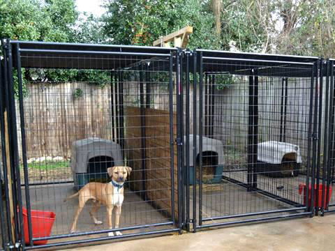 Dog Kennels 2