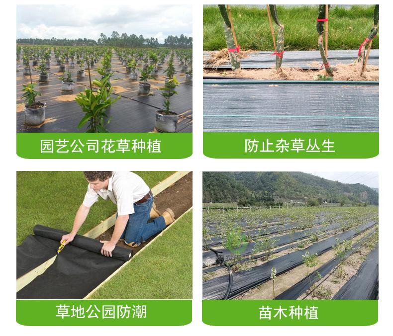 New ecological grass cloth gardening with black grass cloth  3