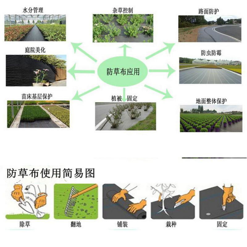 廠家直銷防草布園藝大棚防草布 3