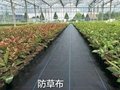 Herbicide, grass cloth and orchard with moisturizing cloth and gardening 2