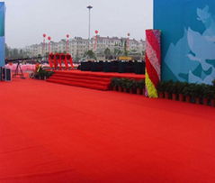 Exhibition carpet