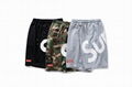 2019 champion  swim shorts  beach short sport short