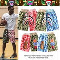 2019 champion  swim shorts  beach short sport short