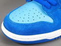 2022 new og NIKE SB DUNK LOW Rro ＂Blue Raspberry sport shoes women shoes