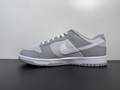      DUNK LOW RETRO Light grey item number: DJ6188-001 13