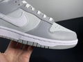      DUNK LOW RETRO Light grey item number: DJ6188-001 18