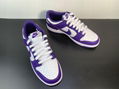 2022 new nike shoes Nike Dunk Retro Court Purple sport shoes