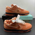 Nike SB Dunk  Low top casual shoe FD8776-800