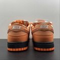 Nike SB Dunk  Low top casual shoe FD8776-800