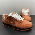      SB Dunk  Low top casual shoe FD8776-800 8