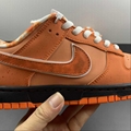 Nike SB Dunk  Low top casual shoe FD8776-800