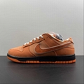     SB Dunk  Low top casual shoe FD8776-800 13