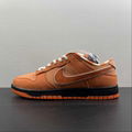 Nike SB Dunk  Low top casual shoe FD8776-800