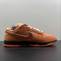 Nike SB Dunk  Low top casual shoe FD8776-800