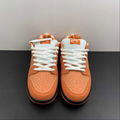 Nike SB Dunk  Low top casual shoe FD8776-800