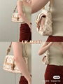 2022 new Louis Vuitton bag ,4 colors, high quality underarm bag handbag 