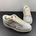 NIKE SB Dunk Low Top casual board shoes DQ2366-166