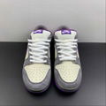 2023      SB Dunk Low Top Casual board Shoes 304292-051 3