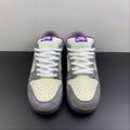 2023 NIKE SB Dunk Low Top Casual board Shoes 304292-051