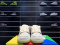 Nike SB Dunk Low "Mummy" Coconut milk/Sea Foam board shoes