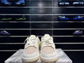 Nike Dunk Low "Year of the Rabbit"Low top sports FD4203-211  casual board shoes 