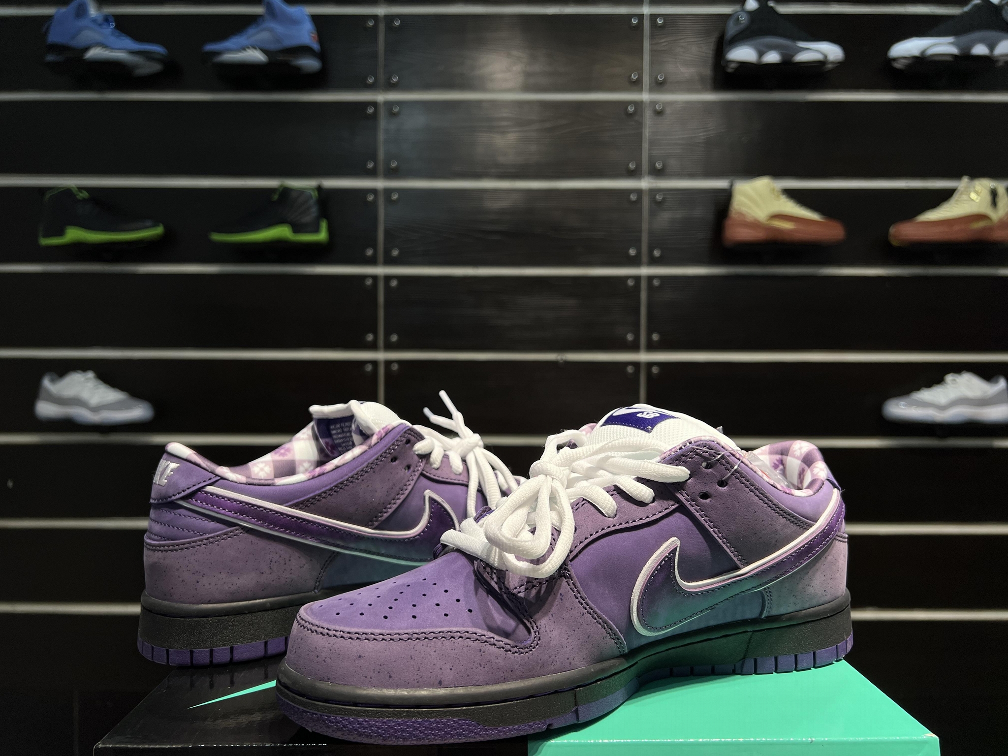 concepts purple lobster box