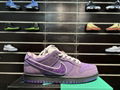 Concepts X      SB Dunk ''Purple Lobster "Recreational sports skateboard shoes 11
