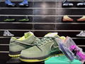 Nike Dunk Low " Green Lobste sneaker shoes sport shoes BV1310-337