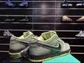 Nike Dunk Low " Green Lobste sneaker shoes sport shoes BV1310-337