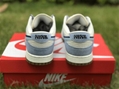 Nike Dunk Low 85 Double Hook Gray Blue DO9457-119 sport shoes