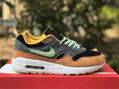 Nike Air Max 1 “Ugly Duckling” DZ0482-001 sport shoes 