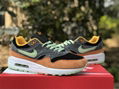 Nike Air Max 1 “Ugly Duckling” DZ0482-001 sport shoes 