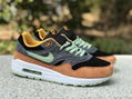 Nike Air Max 1 “Ugly Duckling” DZ0482-001 sport shoes 