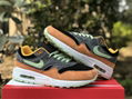 Nike Air Max 1 “Ugly Duckling” DZ0482-001 sport shoes 