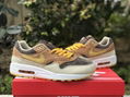 Nike Air Max 1 “Ugly Duckling” 1 PRM DZ0482-200 casual shoes