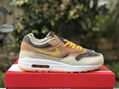 Nike Air Max 1 “Ugly Duckling” 1 PRM DZ0482-200 casual shoes