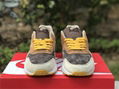 Nike Air Max 1 “Ugly Duckling” 1 PRM DZ0482-200 casual shoes