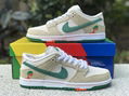 Jarritos x Nike SB Dunk Low FD0860-001 sport shoes