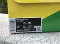 Jarritos x Nike SB Dunk Low FD0860-001 sport shoes