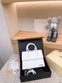 JACQUEMUS bag 7438135,5 colors, Handbag, Original quality 7
