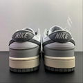 nike shoes SB Dunk Low Top Casual board Shoes DD1503-117