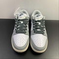      shoes SB Dunk Low Top Casual board Shoes DD1503-117 17