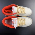 nike shoes SB Dunk Low Top casual board shoes FJ5499-133