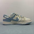 TOP NIKE SHOES SB Dunk Low Top Casual Board Shoes DD1503-123