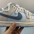 Nike SB Dunk Low Nike low top casual shoe DD1503-123