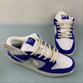 SB Dunk Low      low top casual shoes