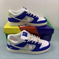 Nike SB Dunk Low Nike low top casual shoes DQ5130-400