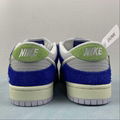 Nike SB Dunk Low Nike low top casual shoes DQ5130-400