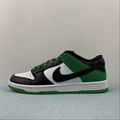      SB Dunk Low Casual board shoes BQ6817-302 7