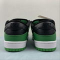      SB Dunk Low Casual board shoes BQ6817-302 14